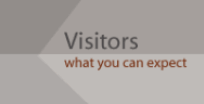 Visitors